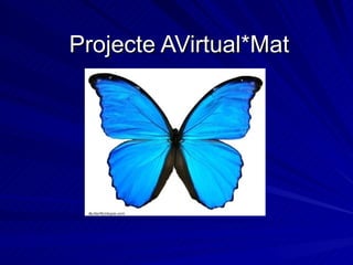 Projecte AVirtual*Mat 