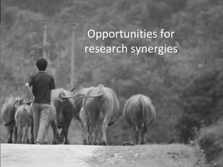 Meat and Veg: Livestock and vegetable researchers are natural, high-value, partners in work for the well-being of the world’s poor 