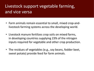 Meat and Veg: Livestock and vegetable researchers are natural, high-value, partners in work for the well-being of the world’s poor 