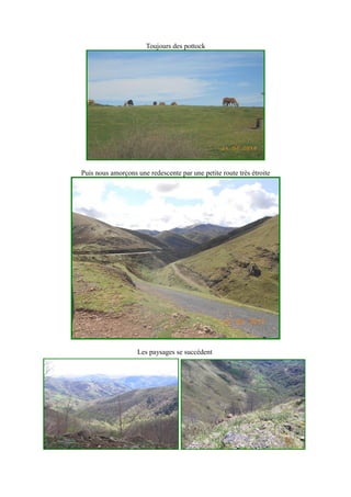 Toujours des pottock
Puis nous amorçons une redescente par une petite route très étroite
Les paysages se succèdent
 