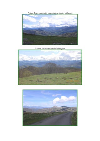 Petites fleurs en premier plan, sous un cn ciel sulfureux
Au loin les chaines encore enneigées
 