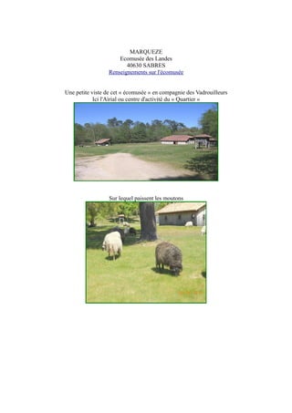 MARQUEZE
Ecomusée des Landes
40630 SABRES
Renseignements sur l'écomusée
Une petite viste de cet « écomusée » en compagnie des Vadrouilleurs
Ici l'Airial ou centre d'activité du « Quartier »
Sur lequel paissent les moutons
 