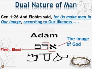 Biblical Hebrew Study