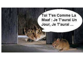Humour en vrac