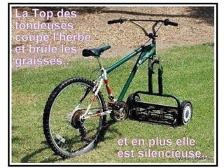 Humour en vrac