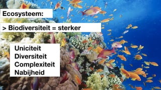 Ecosysteem:
> Biodiversiteit = sterker
Uniciteit
Diversiteit
Complexiteit
Nabijheid
 
