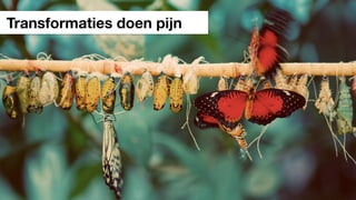 Transformaties doen pijn
 