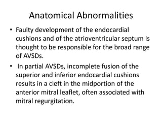 Anatomical Abnormalities
• Faulty development of the endocardial
  cushions and of the atrioventricular septum is
  thought to be responsible for the broad range
  of AVSDs.
• In partial AVSDs, incomplete fusion of the
  superior and inferior endocardial cushions
  results in a cleft in the midportion of the
  anterior mitral leaflet, often associated with
  mitral regurgitation.
 