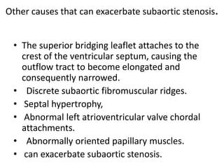 Other causes that can exacerbate subaortic stenosis.


 • The superior bridging leaflet attaches to the
   crest of the ventricular septum, causing the
   outflow tract to become elongated and
   consequently narrowed.
 • Discrete subaortic fibromuscular ridges.
 • Septal hypertrophy,
 • Abnormal left atrioventricular valve chordal
   attachments.
 • Abnormally oriented papillary muscles.
 • can exacerbate subaortic stenosis.
 