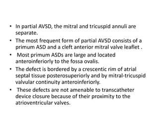• In partial AVSD, the mitral and tricuspid annuli are
  separate.
• The most frequent form of partial AVSD consists of a
  primum ASD and a cleft anterior mitral valve leaflet .
• Most primum ASDs are large and located
  anteroinferiorly to the fossa ovalis.
• The defect is bordered by a crescentic rim of atrial
  septal tissue posterosuperiorly and by mitral-tricuspid
  valvular continuity anteroinferiorly.
• These defects are not amenable to transcatheter
  device closure because of their proximity to the
  atrioventricular valves.
 