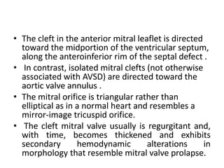 • The cleft in the anterior mitral leaflet is directed
  toward the midportion of the ventricular septum,
  along the anteroinferior rim of the septal defect .
• In contrast, isolated mitral clefts (not otherwise
  associated with AVSD) are directed toward the
  aortic valve annulus .
• The mitral orifice is triangular rather than
  elliptical as in a normal heart and resembles a
  mirror-image tricuspid orifice.
• The cleft mitral valve usually is regurgitant and,
  with time, becomes thickened and exhibits
  secondary        hemodynamic        alterations      in
  morphology that resemble mitral valve prolapse.
 
