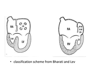 • classification scheme from Bharati and Lev
 