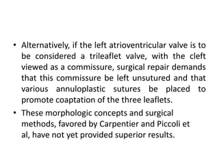 • Alternatively, if the left atrioventricular valve is to
  be considered a trileaflet valve, with the cleft
  viewed as a commissure, surgical repair demands
  that this commissure be left unsutured and that
  various annuloplastic sutures be placed to
  promote coaptation of the three leaflets.
• These morphologic concepts and surgical
  methods, favored by Carpentier and Piccoli et
  al, have not yet provided superior results.
 
