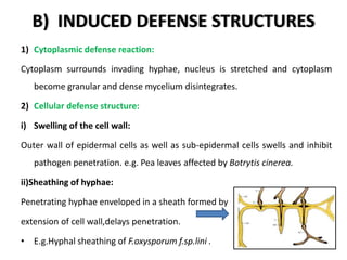Avs defense responses of plants to pathogen | PPTX