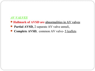 AV septal defects (AVCD) | PPT