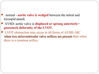 AV septal defects (AVCD) | PPT