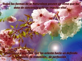 Todas las formas de la Naturaleza poseen un Alma que las dota de conciencia y de un impulso vital , dinámico e irresistible que las orienta hacia un definido propósito de redención , de perfección