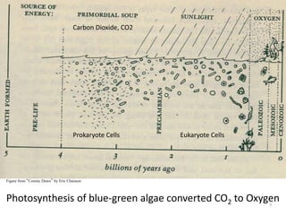 Figure from “Cosmic Dawn” by Eric Chaisson
Photosynthesis of blue-green algae converted CO2 to Oxygen
Carbon Dioxide, CO2
Prokaryote Cells Eukaryote Cells
7
 