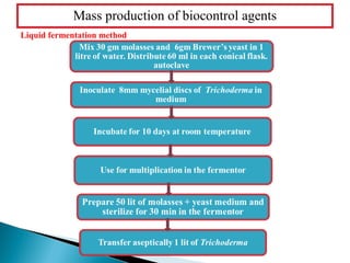 Avs trichodrma  as a biocontrol  agent