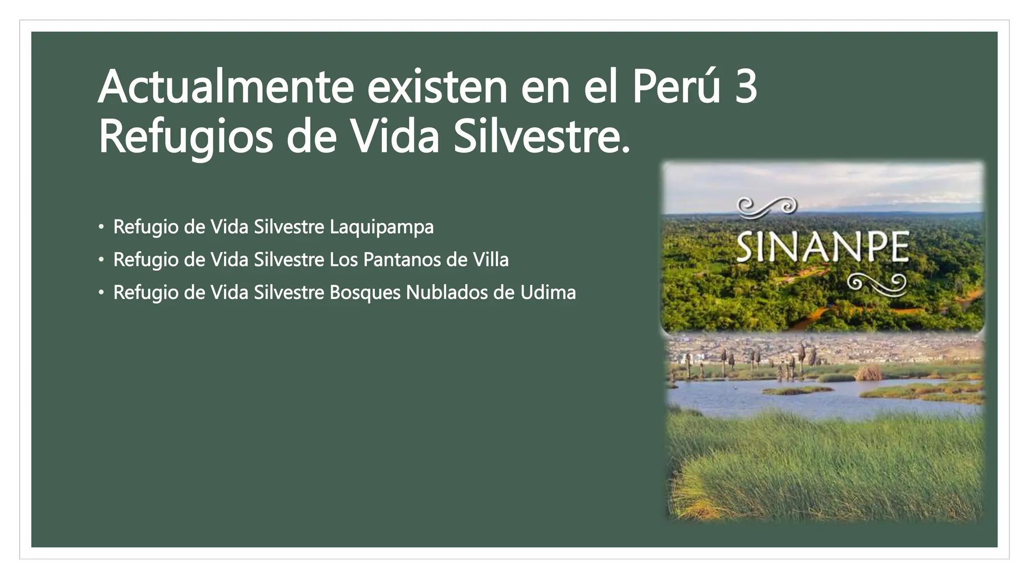 Bosque vida y refugió silvestre | PPTX