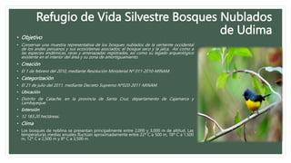 Refugio de Vida Silvestre Bosques Nublados
de Udima
• Objetivo
• Conservar una muestra representativa de los bosques nublados de la vertiente occidental
de los andes peruanos y sus ecosistemas asociados; el bosque seco y la jalca. Así como a
las especies endémicas, raras y amenazadas registradas, así como su legado arqueológico
existente en el interior del área y su zona de amortiguamiento.
• Creación
• El 1 de febrero del 2010, mediante Resolución Ministerial Nº 011-2010-MINAM.
• Categorización
• El 21 de julio del 2011, mediante Decreto Supremo Nº020-2011-MINAM.
• Ubicación
• Distrito de Catache, en la provincia de Santa Cruz, departamento de Cajamarca y
Lambayeque.
• Extensión
• 12 183.20 hectáreas.
• Clima
• Los bosques de neblina se presentan principalmente entre 2,000 y 3,000 m de altitud. Las
temperaturas medias anuales fluctúan aproximadamente entre 22º C a 500 m, 18º C a 1,500
m, 12º C a 2,500 m y 8º C a 3,500 m.
 