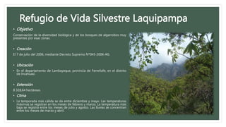 Refugio de Vida Silvestre Laquipampa
• Objetivo
Conservación de la diversidad biológica y de los bosques de algarrobos muy
presentes por esas zonas.
• Creación
El 7 de julio del 2006, mediante Decreto Supremo Nº045-2006-AG.
• Ubicación
• En el departamento de Lambayeque, provincia de Ferreñafe, en el distrito
de Incahuasi.
• Extensión
8 328,64 hectáreas.
• Clima
• La temporada más cálida se da entre diciembre y mayo. Las temperaturas
máximas se registran en los meses de febrero y marzo. La temperatura más
baja se registra entre los meses de julio y agosto. Las lluvias se concentran
entre los meses de marzo y abril.
 
