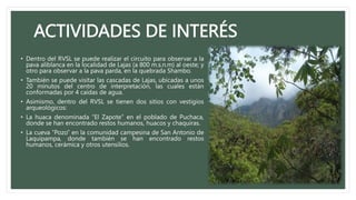 ACTIVIDADES DE INTERÉS
• Dentro del RVSL se puede realizar el circuito para observar a la
pava aliblanca en la localidad de Lajas (a 800 m.s.n.m) al oeste; y
otro para observar a la pava parda, en la quebrada Shambo.
• También se puede visitar las cascadas de Lajas, ubicadas a unos
20 minutos del centro de interpretación, las cuales están
conformadas por 4 caídas de agua.
• Asimismo, dentro del RVSL se tienen dos sitios con vestigios
arqueológicos:
• La huaca denominada “El Zapote” en el poblado de Puchaca,
donde se han encontrado restos humanos, huacos y chaquiras.
• La cueva “Pozo” en la comunidad campesina de San Antonio de
Laquipampa, donde también se han encontrado restos
humanos, cerámica y otros utensilios.
 