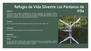 Refugio de Vida Silvestre Los Pantanos de
Villa
• Objetivo
• Conservar una muestra representativa de los pantanos del Desierto Pacifico
Subtropical, incluyendo importantes comunidades vegetales representativas de los
pantanos costeros, así como la avifauna migratoria y residente haciendo principal
énfasis en las especies con algún grado de amenaza.
• Creación
• El 31 de agosto del 2006, mediante Decreto Supremo Nº055-2006 -AG.
• Ubicación
• En el distrito de Chorrillos, provincia y departamento de Lima.
• Extensión
• 263,27 hectáreas.
• Clima
• El clima del área es típico de la costa central del Perú con una estación invernal
caracterizada por cielos grises, intensa humedad y suaves lloviznas entre junio y
septiembre, y de verano entre diciembre y marzo.
 
