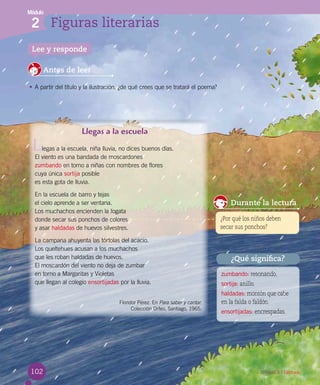 Módulo
2 Figuras literarias
102 Unidad 3 / Lectura
Lee y responde
Antes de leer
•	A partir del título y la ilustración, ¿de qué crees que se tratará el poema?
¿Qué significa?
zumbando: resonando.
sortija: anillo.
haldadas: montón que cabe
en la falda o faldón.
ensortijadas: encrespadas.
L
Llegas a la escuela
legas a la escuela, niña lluvia, no dices buenos días.
El viento es una bandada de moscardones
zumbando en torno a niñas con nombres de flores
cuya única sortija posible
es esta gota de lluvia.
En la escuela de barro y tejas
el cielo aprende a ser ventana.
Los muchachos encienden la fogata
donde secar sus ponchos de colores
y asar haldadas de huevos silvestres.
La campana ahuyenta las tórtolas del acacio.
Los queltehues acusan a los muchachos
que les roban haldadas de huevos.
El moscardón del viento no deja de zumbar
en torno a Margaritas y Violetas
que llegan al colegio ensortijadas por la lluvia.
Floridor Pérez. En Para saber y cantar.
Colección Orfeo, Santiago, 1965.
Durante la lectura
¿Por qué los niños deben
secar sus ponchos?
 