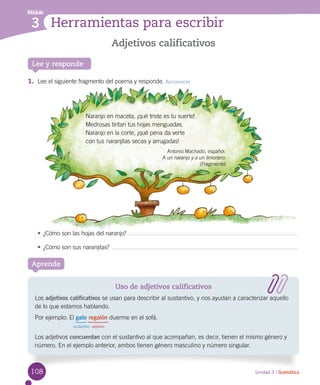108
Lee y responde
Unidad 3 / Gramática
Adjetivos calificativos
Módulo
3 Herramientas para escribir
1.	 Lee el siguiente fragmento del poema y responde. Reconocer
•	¿Cómo son las hojas del naranjo?
•	¿Cómo son sus naranjitas?
Aprende
Uso de adjetivos calificativos
Los adjetivos calificativos se usan para describir al sustantivo, y nos ayudan a caracterizar aquello
de lo que estamos hablando.
Por ejemplo: El gato regalón duerme en el sofá.
	 sustantivo	 adjetivo
Los adjetivos concuerdan con el sustantivo al que acompañan, es decir, tienen el mismo género y
número. En el ejemplo anterior, ambos tienen género masculino y número singular.
Naranjo en maceta, ¡qué triste es tu suerte!
Medrosas tiritan tus hojas menguadas.
Naranjo en la corte, ¡qué pena da verte
con tus naranjitas secas y arrugadas!
Antonio Machado, español.
A un naranjo y a un limonero.
(Fragmento)
 