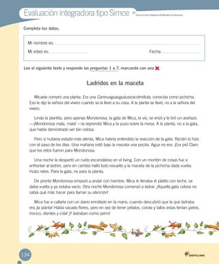 Evaluación integradora tipo Simce MR
Simce es marca registrada del Ministerio de Educación.
Mi nombre es:
Mi edad es: 	 Fecha:
Completa tus datos.
Lee el siguiente texto y responde las preguntas 1 a 7, marcando con una .
Ladridos en la maceta
Micaela compró una planta. Era una Caninusguauguáusicacolmilluta, conocida como pichicha.
Eso le dijo la señora del vivero cuando se la llevó a su casa. A la planta se llevó, no a la señora del
vivero.
Linda la plantita, pero apenas Mondonosa, la gata de Mica, la vio, se erizó y le tiró un arañazo.
—¡Mondonosa mala, mala! —la reprendió Mica y la puso sobre la mesa. A la planta, no a la gata,
que había demostrado ser tan celosa.
Pero si hubiera estado más atenta, Mica habría entendido la reacción de la gata. Recién lo hizo
con el paso de los días. Una mañana notó bajo la maceta una pocita. Agua no era. ¡Era pis! Claro
que los retos fueron para Mondonosa.
Una noche la despertó un ruido escandaloso en el living. Con un montón de cosas fue a
enfrentar al ladrón, pero en cambio halló todo revuelto y la maceta de la pichicha dada vuelta.
Hubo retos. Para la gata, no para la planta.
De pronto Mondonosa empezó a andar con hambre. Mica le llenaba el platito con leche, se
daba vuelta y ya estaba vacío. Otra noche Mondonosa comenzó a ladrar. ¡Aquella gata celosa no
sabía qué más hacer para llamar su atención!
Mica fue a callarla con un diario enrollado en la mano, cuando descubrió que la que ladraba
era ¡la planta! Había sacado flores, pero en vez de tener pétalos, corola y tallos estas tenían ¡pelos,
hocico, dientes y cola! ¡Y ladraban como perro!
134
 