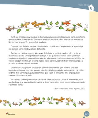 Cuarto básico
Tomó una enciclopedia y leyó que la Caninusguauguáusicacolmilluta era una planta extrañísima
que daba perros. Ahora que era primavera, le crecían pekineses. Mica entendió las actitudes de
Mondonosa, la perdonó y se ocupó de su planta.
En vez de desinfectarla, tuvo que desparasitarla. La pichicha no aceptaba simple agua: exigía
con ladridos carne molida y galletas de huesito.
También era cariñosa: cuando Mica volvía de trabajar, la planta le movía el tallo y si ella se
le acercaba, le daba un lengüetazo con las hojas. Y era guardiana: cuando creció y debieron
trasplantarla al jardín no había quién se acercara a la casa sin que lo anunciaran sus ladridos. Los
vecinos estaban chochos. En el barrio dejó de haber ladrones, sobre todo en verano cuando a la
pichicha le salieron ovejeros alemanes.
En otoño dio unos poodles lanudos que parecían almohadones y en invierno, unos san
bernardos en flor que eran para sacarles fotos. En cada temporada los vecinos venían y le pedían
un brote de la Caninusguauguáusicacolmilluta que, según el fertilizante, daba chiguaguas de
interior o dóbermans de jardín.
Mica es feliz criando y buscándole casa a sus brotes-cachorros. Lo que es Mondonosa, no se
acostumbra y ni se asoma al jardín. Lógico, se llevan como gato y perro, o mejor dicho, como gato
y planta de perros.
Fabián Sevilla. Cuento inédito. Argentina, 2012.
135
 