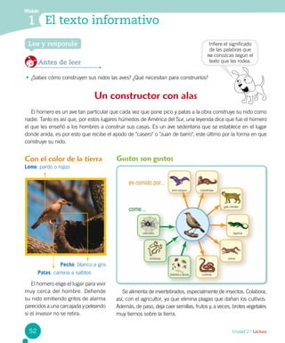 Un constructor con alas
El hornero es un ave tan particular que cada vez que pone pico y patas a la obra construye su nido como
nadie. Tanto es así que, por estos lugares húmedos de América del Sur, una leyenda dice que fue el hornero
el que les enseñó a los hombres a construir sus casas. Es un ave sedentaria que se establece en el lugar
donde anida, es por esto que recibe el apodo de "casero" o "Juan de barro", este último por la forma en que
construye su nido.
El hornero elige el lugar para vivir
muy cerca del hombre. Defiende
su nido emitiendo gritos de alarma
parecidos a una carcajada y peleando
si el invasor no se retira.
Se alimenta de invertebrados, especialmente de insectos. Colabora,
así, con el agricultor, ya que elimina plagas que dañan los cultivos.
Además, de paso, deja caer semillas, frutos y, a veces, brotes vegetales
muy tiernos sobre la tierra.
Gustos son gustos
Módulo
1 El texto informativo
Unidad 2 / Lectura
Lee y responde
Antes de leer
•	¿Sabes cómo construyen sus nidos las aves? ¿Qué necesitan para construirlos?
Infiere el significado
de las palabras que
no conozcas según el
texto que las rodea.
52
Con el color de la tierra
Lomo: pardo o rojizo
Pecho: blanco a gris
Patas: camina a saltitos
 