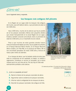 ¿Cómo vas?	¿Cómo vas?	
Lee el siguiente texto y responde.
1.	 ¿Cuál es el propósito del texto?
A.	Narrar la historia de los parques nacionales de alerce.
B.	 Argumentar sobre la existencia de parques nacionales.
C.	 Informar sobre la antigüedad de los bosques de alerce.
D.	 Describir los parques nacionales más antiguos de Chile.
punto
1
Los bosques más antiguos del planeta
En la Región de Los Lagos están los bosques más antiguos
del mundo, pues allí habita el alerce, cuyo promedio de edad es
de 2.500 años.
Hace 2.000 años, muchos de los alerces que hoy es posible
ver en los parques nacionales chilenos eran pequeños árboles
que crecían tranquilamente en la actual Región de Los Lagos.
El alerce, también conocido como lahuén, tiene un promedio de
edad de 2.500 años y es un importante recurso natural.
Pese a que muchos de estos grandes árboles fueron
indiscriminadamente talados por años, hoy es posible encontrarlos
en el Parque Nacional Alerce Andino, en el Parque Nacional
Alerce Costero y en Pata Mai, en la provincia de Palena. Allí se
han encontrado ejemplares de hasta 3.500 años y troncos de
hasta cuatro metros de diámetro.
Si un bosque de alerce, que ha tardado cientos de años para
estar en condiciones de ser explotado, es talado, no volverá a
regenerarse. Constituye un recurso no renovable, de la misma
manera que lo es una mina de oro. Por eso hoy en Chile está 							
estrictamente prohibido cortar alerces.
En www.educarchile.cl. El portal de la Educación chilena,
consultado el 30 de julio de 2012.
(Adaptación)
Parque Nacional Los Alerces, Argentina.
Creado para proteger los bosques
de alerce.
62
 