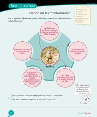 Taller de escritura
Escribe un texto informativo
Unidad 2 / Escritura
Lee el siguiente organizador gráfico elaborado a partir de un texto informativo
sobre el huemul.
Escribir con un
propósito.
Organizar ideas.
Dominar
aspectos formales
(gramática y
ortografía).
1.	 ¿Para qué sirven los organizadores gráficos? Comenta con tu curso.
2.	 ¿Qué otras maneras de organizar la información conoces?
Estos organizadores
sirven para ordenar
gráficamente la
información sobre
un tema.
Habita en las zonas
Sur y Austral de
Chile.
Puede llegar a
medir un metro de
altura y superar los
90 kg de peso.
Se alimenta de
hierbas, arbustos y
árboles.
Las crías
permanecen junto
a la madre durante
un año.
Se encuentra
en peligro de
extinción debido a
la caza
indiscriminada y la
destrucción de su
hábitat.
76
Huemul
 