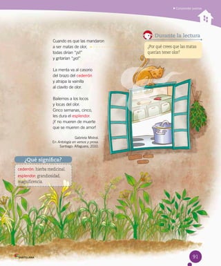 91
Comprender poemas
Cuando es que las mandaron
a ser matas de olor,
todas dirían “¡sí!”
y gritarían “¡yo!”
La menta va al casorio
del brazo del cederrón
y atrapa la vainilla
al clavito de olor.
Bailemos a los locos
y locas del olor.
Cinco semanas, cinco,
les dura el esplendor.
¡Y no mueren de muerte
que se mueren de amor!
Gabriela Mistral.
En Antología en versos y prosa.
Santiago: Alfaguara, 2010.
cederrón: hierba medicinal.
esplendor: grandiosidad,
magnificencia.
¿Qué significa?
¿Por qué crees que las matas
querían tener olor?
Durante la lectura
 
