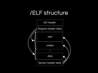 /ELF structure
 