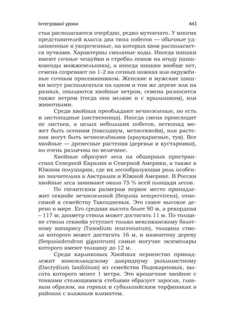 Практична медіаосвіта: авторські уроки