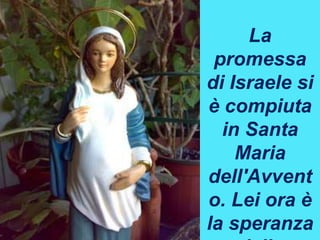 La
promessa
di Israele si
è compiuta
in Santa
Maria
dell'Avvent
o. Lei ora è
la speranza
 