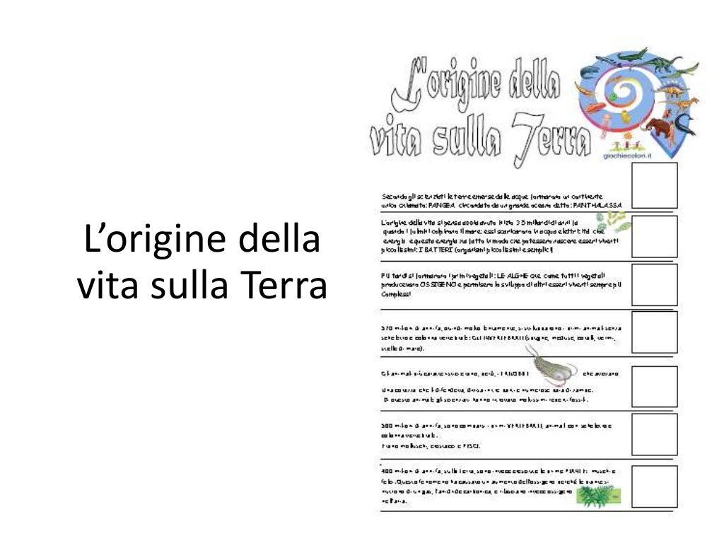 Avvio al metodo di studio - Classe terza scuola primaria. Dal Big Ban…