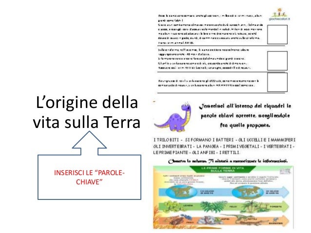 Avvio Al Metodo Di Studio Classe Terza Scuola Primaria