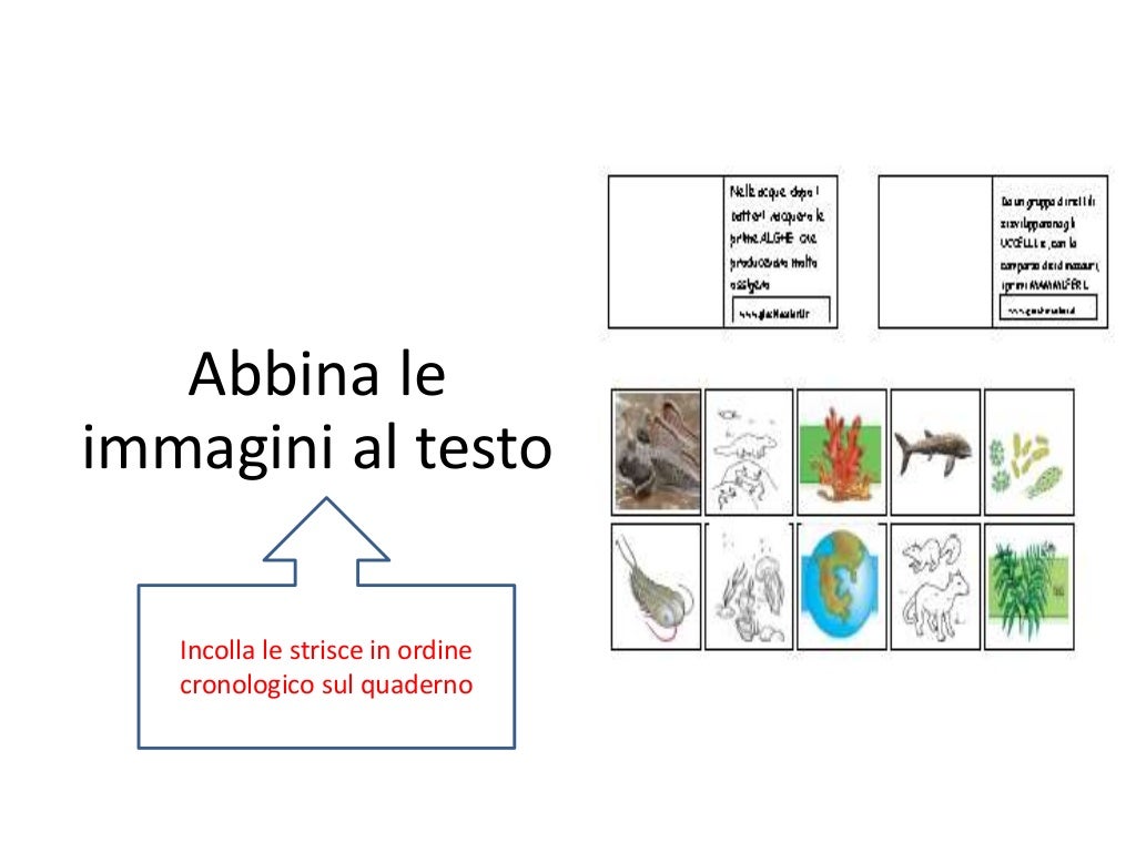 Avvio al metodo di studio - Classe terza scuola primaria. Dal Big Ban…