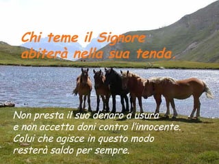 Chi teme il Signore
 abiterà nella sua tenda.



Non presta il suo denaro a usura
e non accetta doni contro l’innocente.
Colui che agisce in questo modo
resterà saldo per sempre.
 