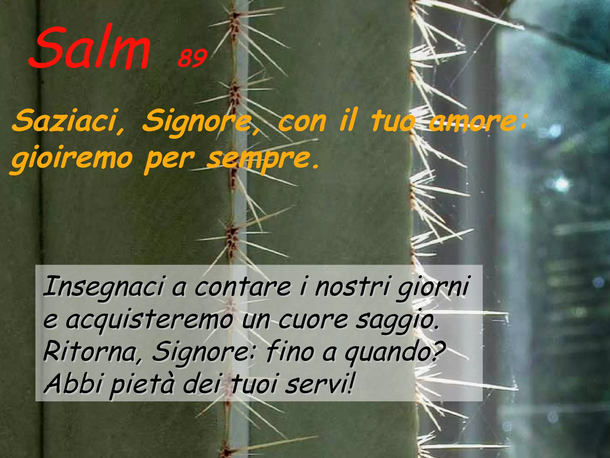 Salm         89

Saziaci, Signore, con il tuo amore:
gioiremo per sempre.



  Insegnaci a contare i nostri giorni
  e acquisteremo un cuore saggio.
  Ritorna, Signore: fino a quando?
  Abbi pietà dei tuoi servi!
 