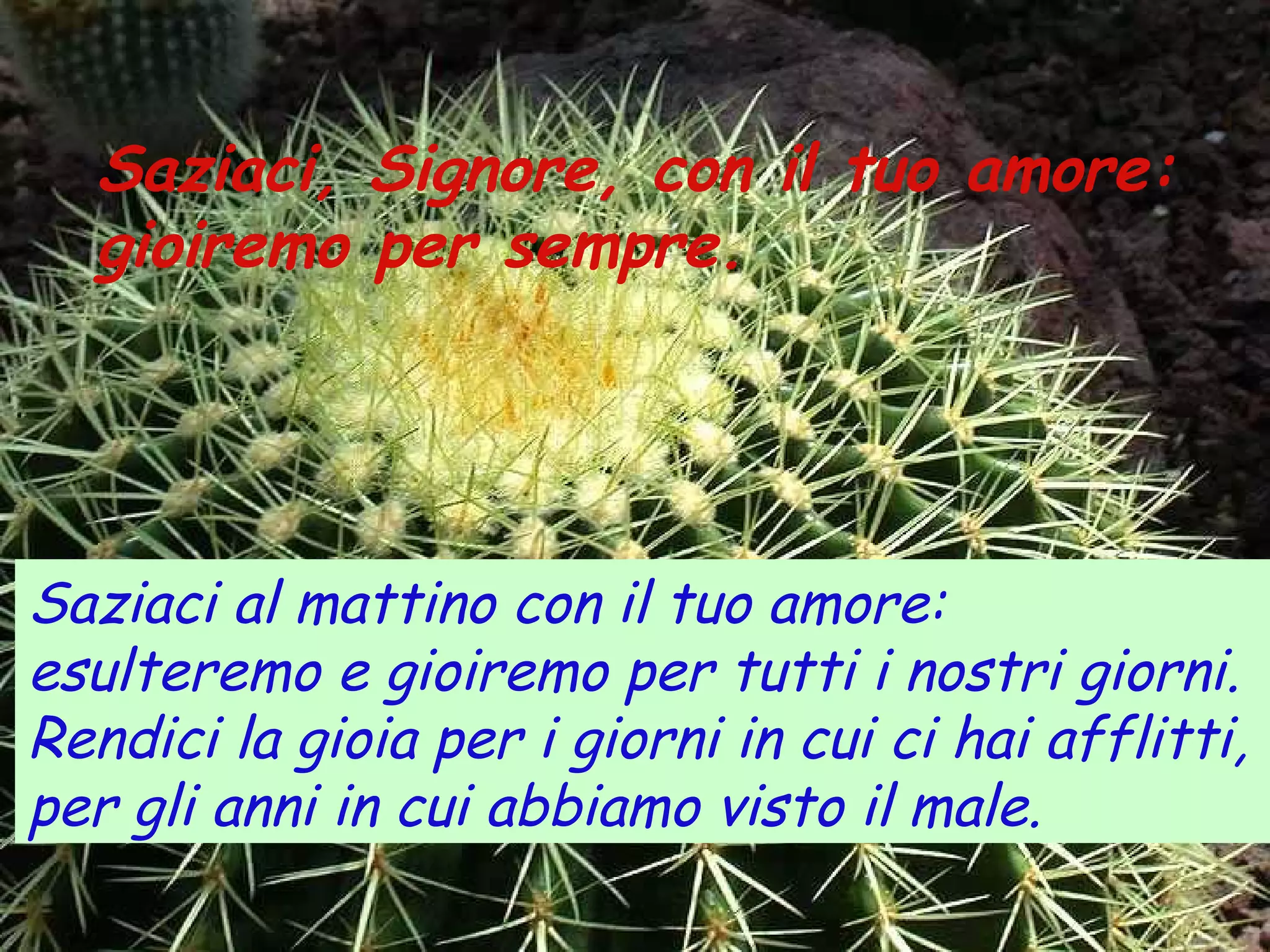 Saziaci, Signore, con il tuo amore:
  gioiremo per sempre.




Saziaci al mattino con il tuo amore:
esulteremo e gioiremo per tutti i nostri giorni.
Rendici la gioia per i giorni in cui ci hai afflitti,
per gli anni in cui abbiamo visto il male.
 