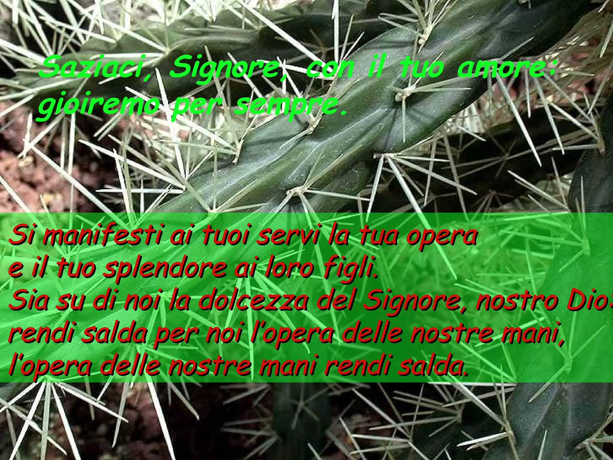 Saziaci, Signore, con il tuo amore:
  gioiremo per sempre.



Si manifesti ai tuoi servi la tua opera
e il tuo splendore ai loro figli.
Sia su di noi la dolcezza del Signore, nostro Dio:
rendi salda per noi l’opera delle nostre mani,
l’opera delle nostre mani rendi salda.
 