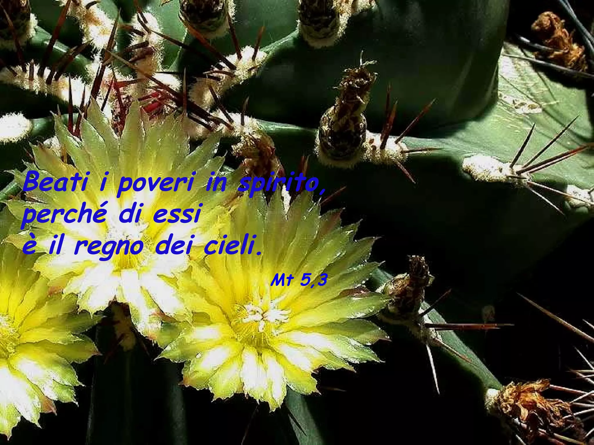 Beati i poveri in spirito,
perché di essi
è il regno dei cieli.
                     Mt 5,3
 