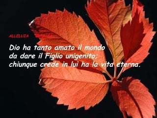 ALLELUIA

Gv 3, 16

Dio ha tanto amato il mondo
da dare il Figlio unigenito;
chiunque crede in lui ha la vita eterna.

 