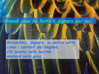 Grandi cose ha fatto il Signore per noi.



 Ristabilisci, Signore, la nostra sorte,
 come i torrenti del Negheb.
 Chi semina nelle lacrime
 mieterà nella gioia.
 