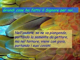 Grandi cose ha fatto il Signore per noi.




      Nell’andare, se ne va piangendo,
      portando la semente da gettare,
      ma nel tornare, viene con gioia,
      portando i suoi covoni.
 